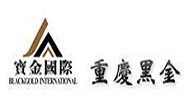 重慶黑金實業的視頻會議系統應用案例